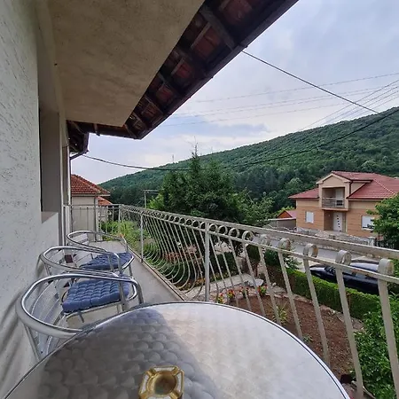 Boskovic-borici *